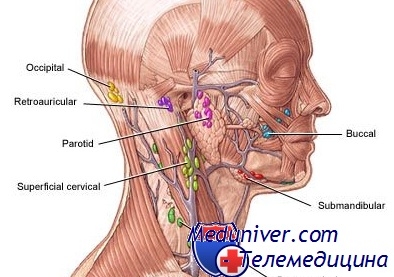 vospalenielimfouzlovzauxom 787D63D4 - Методы лечения заложенного уха при простуде, что делать при заложенности уха